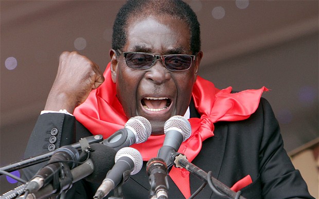 Mnangagwa, Grace Thrown Out Of Mugabe's Succession Puzzle